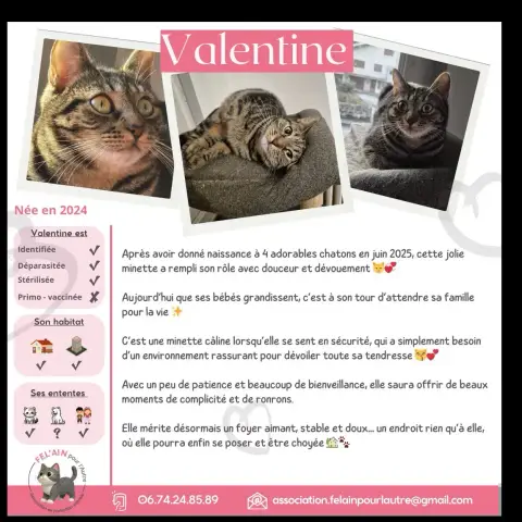Valentine