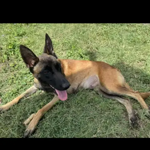 Bella V photo 2