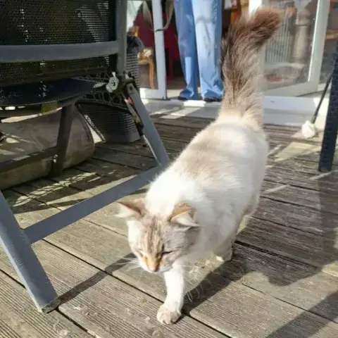 Lucky photo 3