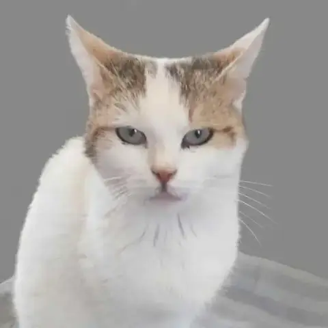 Denise