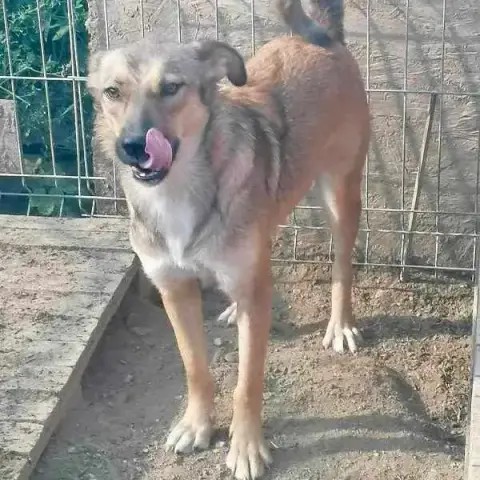 Deja