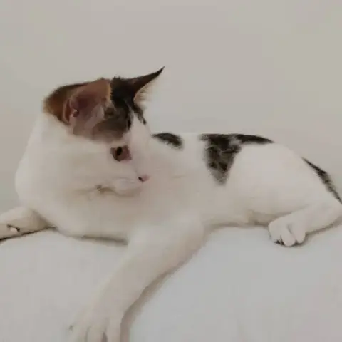 Sleepy photo 3