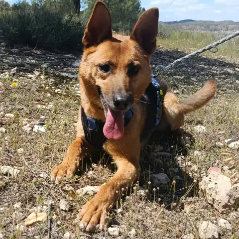 Luna photo 3