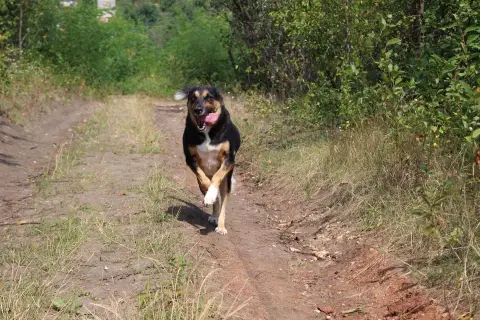Jurgen photo 3