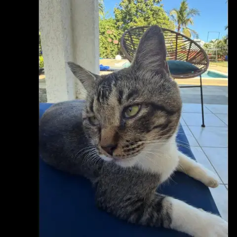 Carlos