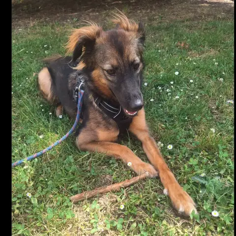 Kira photo 3