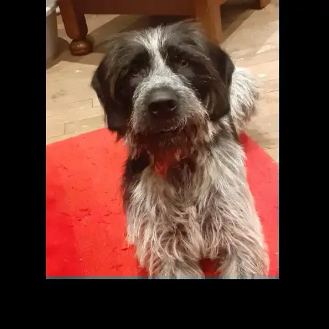 Rox