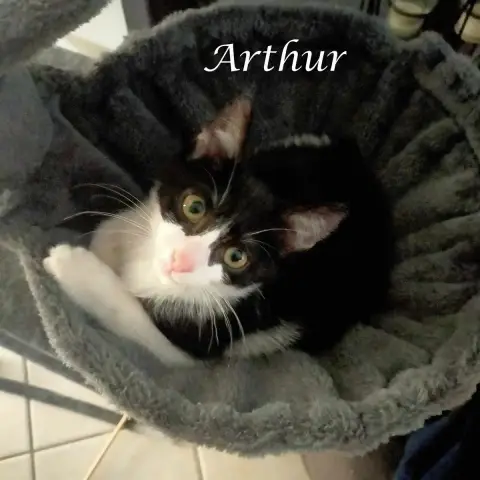 Arthur