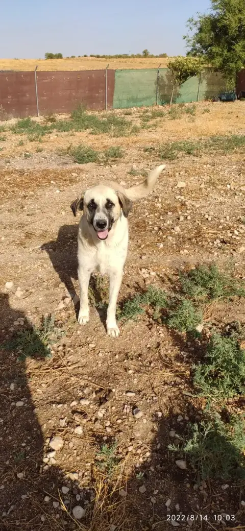 Atenea Et Dorito photo 2