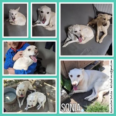 Sonia