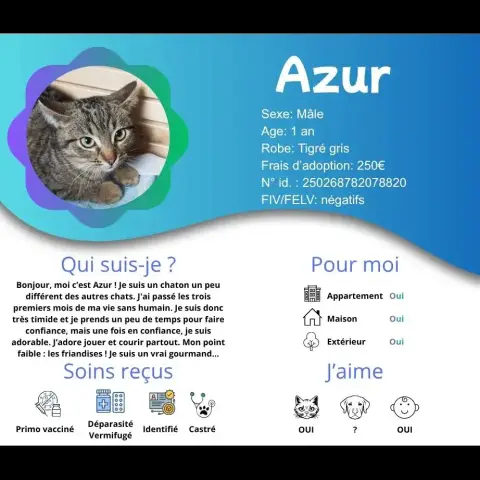 Azur photo 3