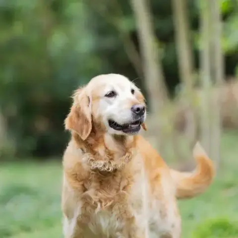 Bella