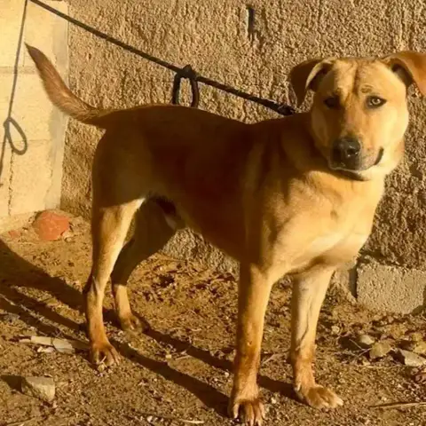 Joselito photo 3