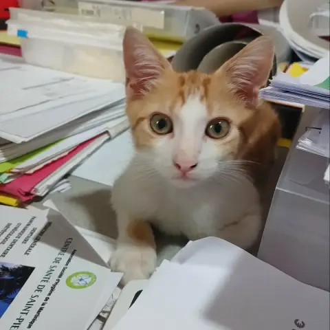 Lucky