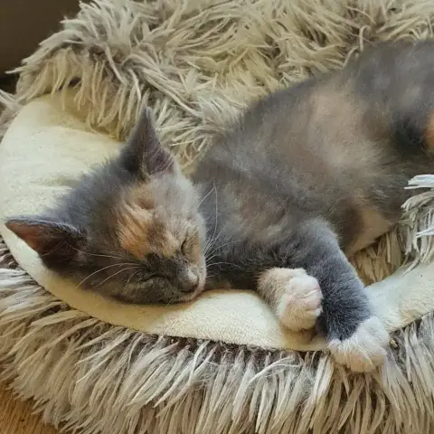 Lucy photo 2