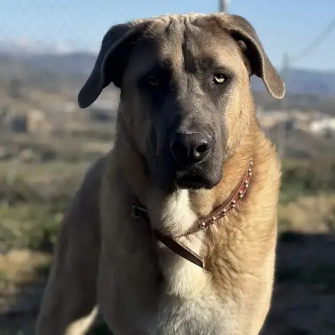 Zeus