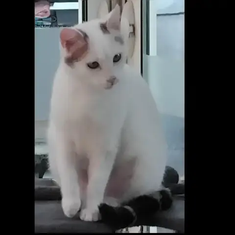 Typpex