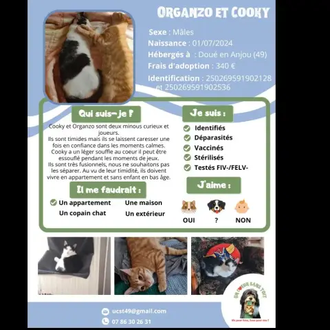 Organzo Et Cooky