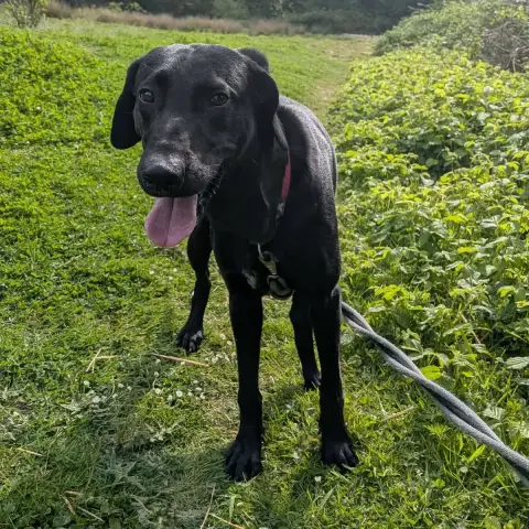 Max