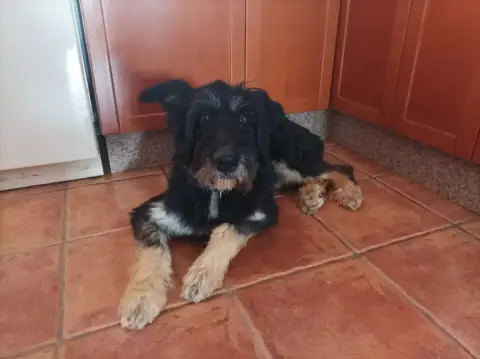 Rufina photo 2