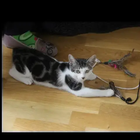 Oups photo 3
