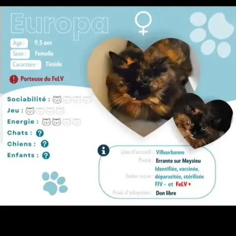 Europa