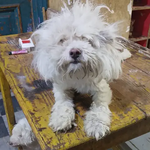 Khiops