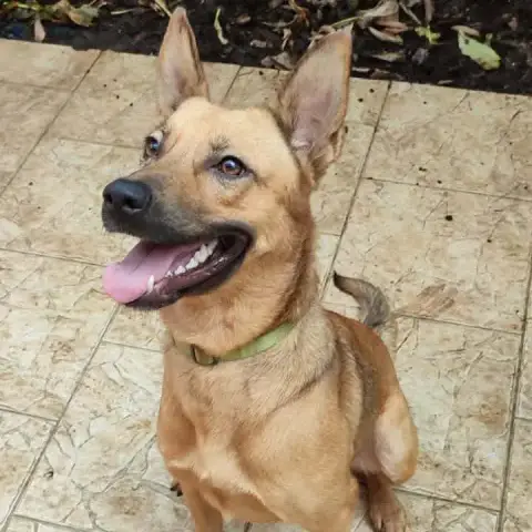 Rosita