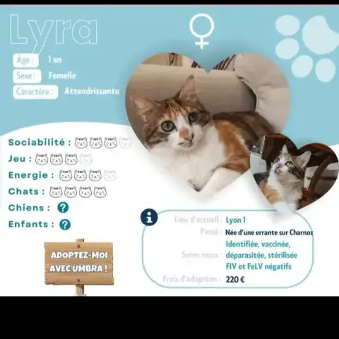 Lyra