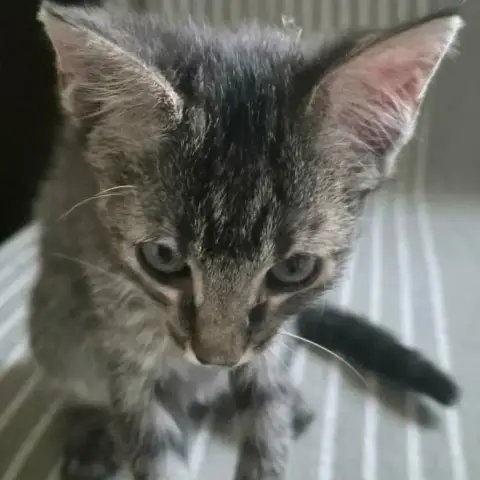 Betty