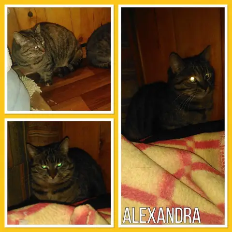 Alexandra