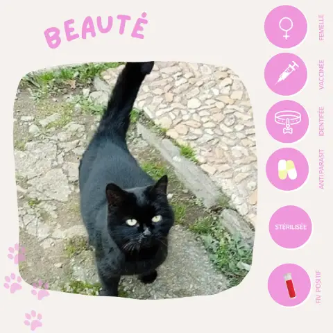 Beauté