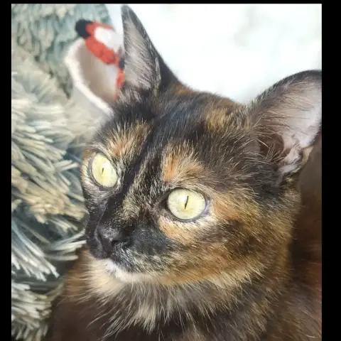 Rita