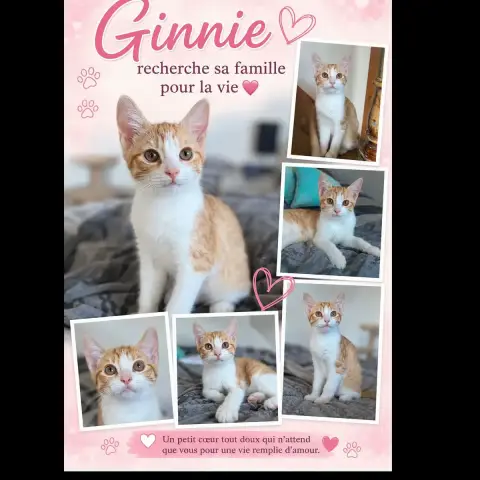 Ginnie