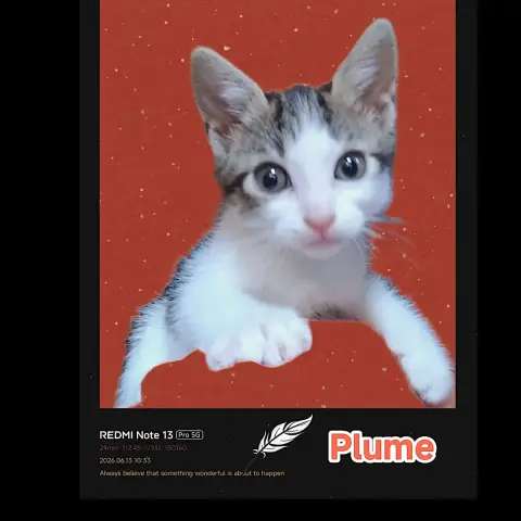 Plume