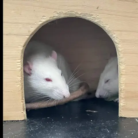Aaron & Stuart photo 2