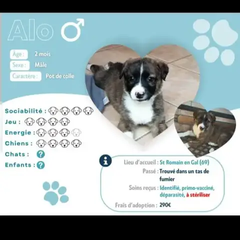 Alo