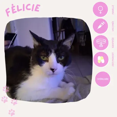 Félicie