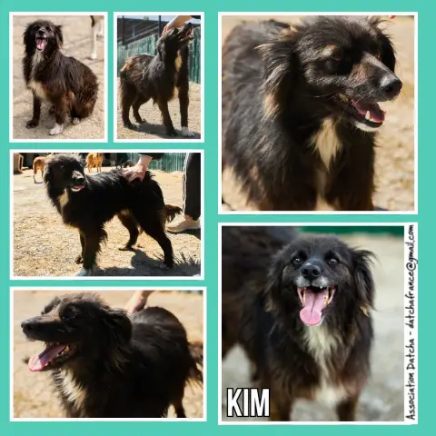 Kim