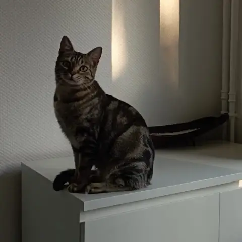 Freyja photo 2