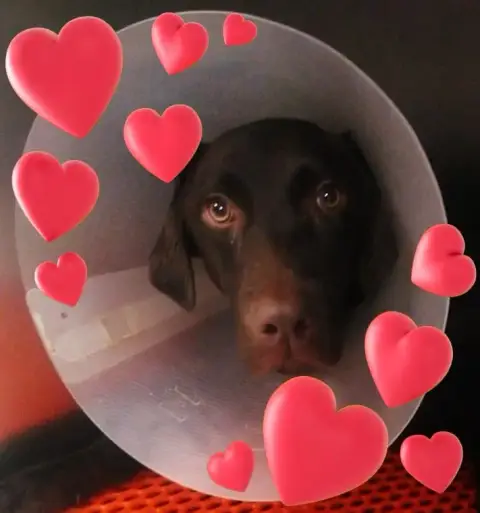 Paco
