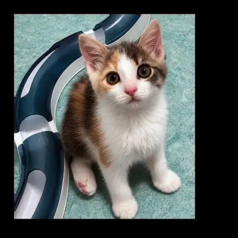Bonnie photo 2