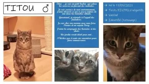 Titou