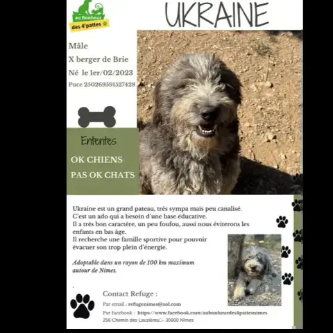 Ukraine