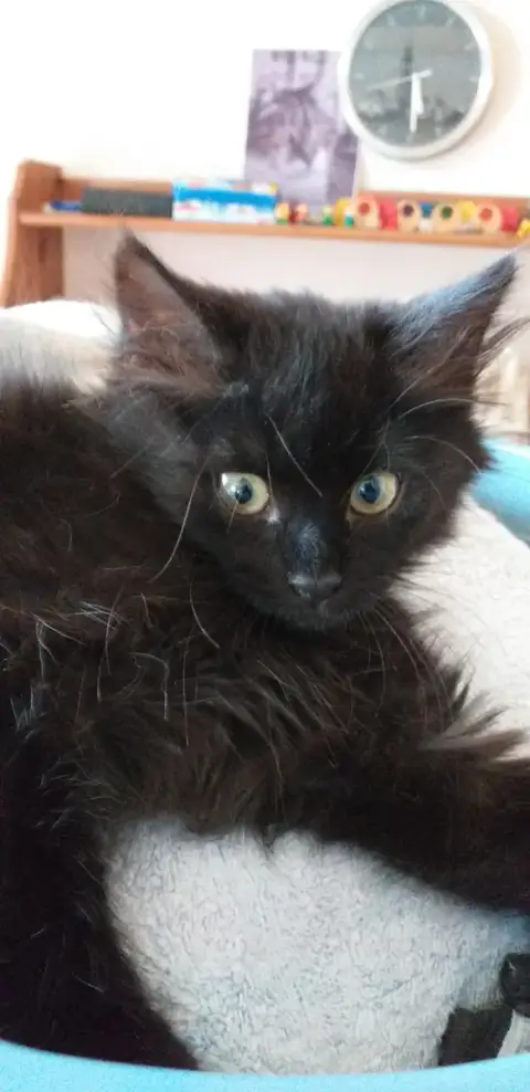 Freya photo 2