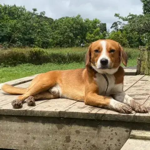 Max photo 2