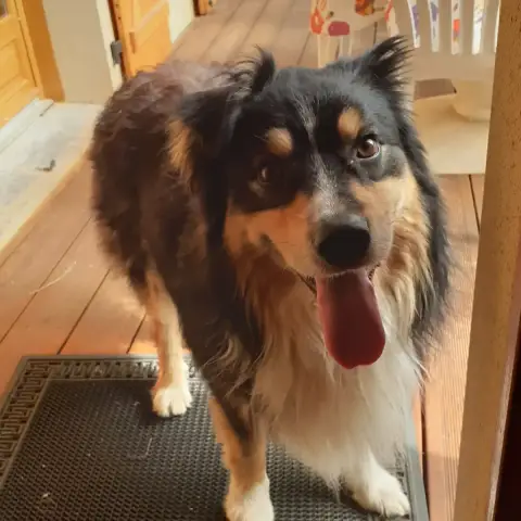 Jack photo 2
