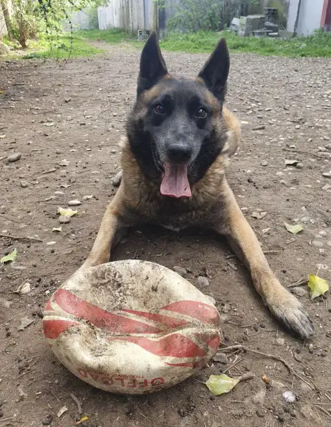Tyson