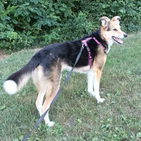 Kimy photo 3