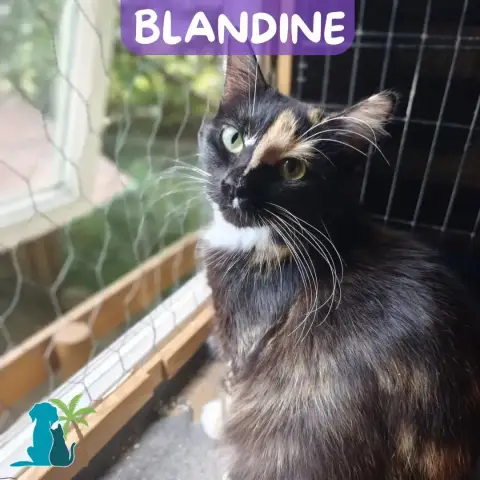 Blandine